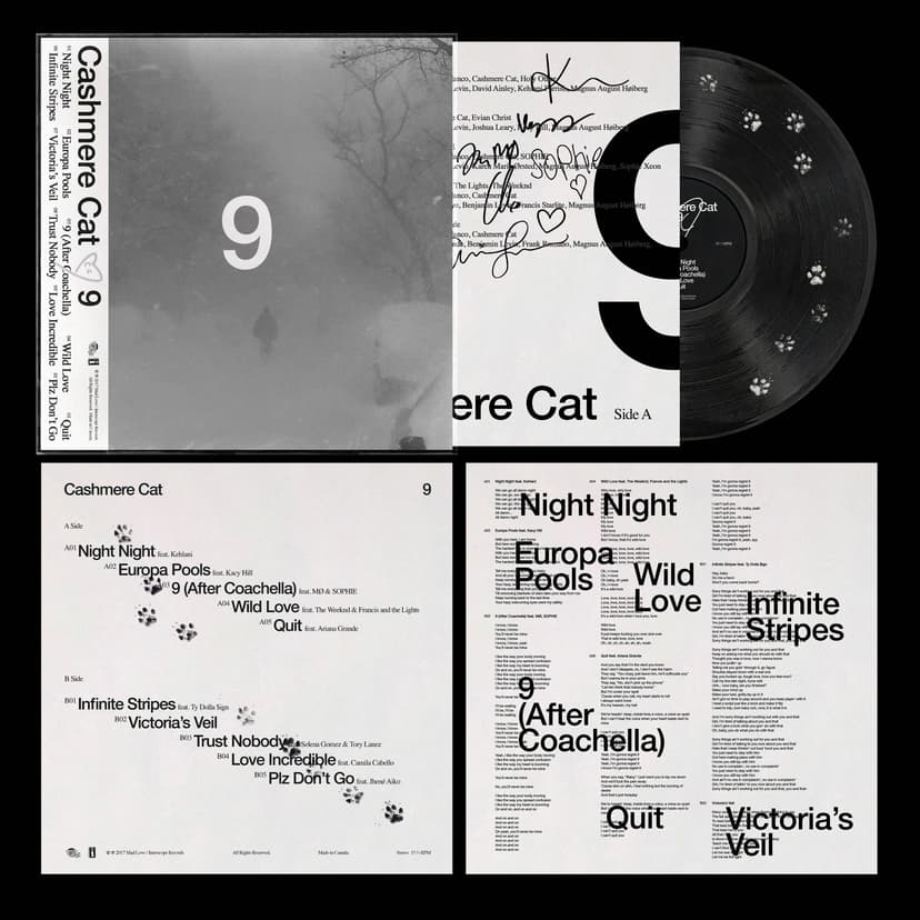 Cashmere Cat — 9 Vinyl Concept